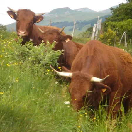 Dans Station Super 4ou5 Pers Piscine *