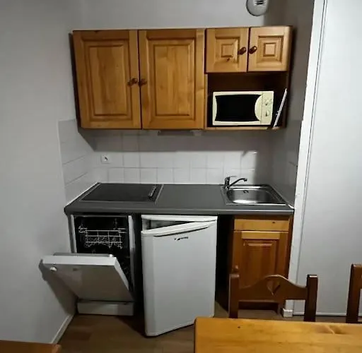 Dans Station Super 4ou5 Pers Piscine Appartement Besse-et-Saint-Anastaise