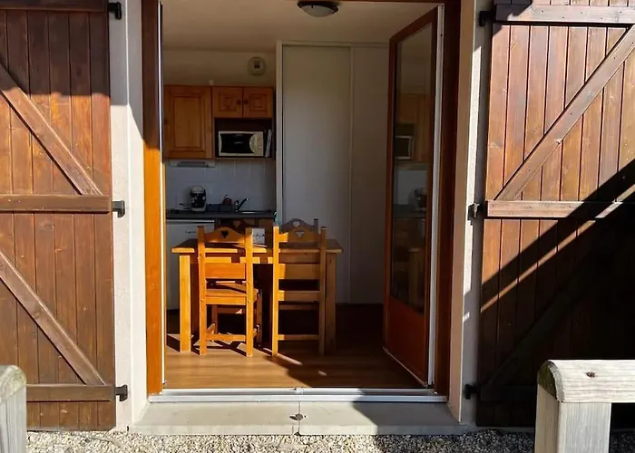 Dans Station Super 4ou5 Pers Piscine Appartement Besse-et-Saint-Anastaise