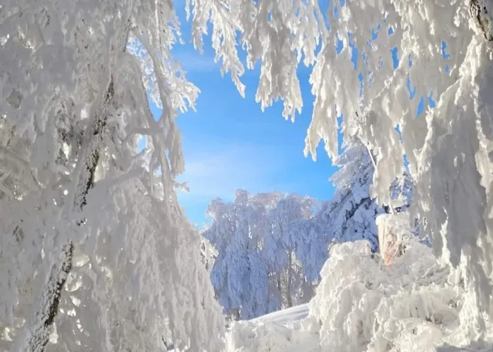 Appartement Dans Station Super 4ou5 Pers Piscine *
