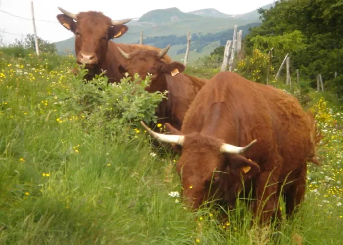 Dans Station Super 4ou5 Pers Piscine *
